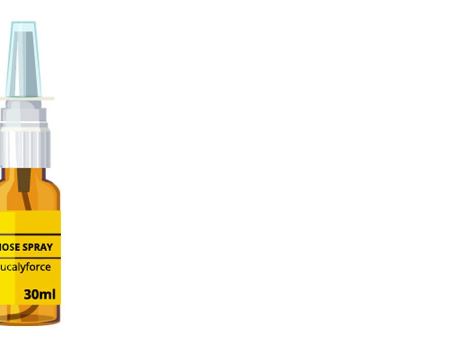 product17-gallery-3 a